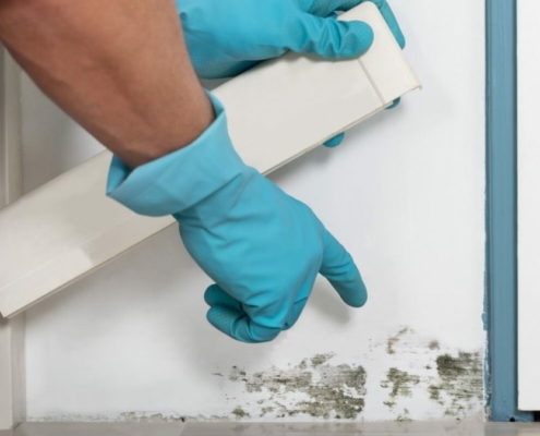 mold-beneath-baseboard-1080x675