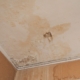 Water Damage Ceiling